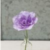 Mariachi Lavender - Lisianthus Seed