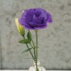 Mariachi Blue - (F1) Lisianthus Seed