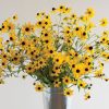 Rudbeckia triloba - Flower Seed