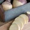 Helenor - Rutabaga Seed
