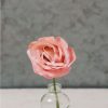 Arena III Apricot - Lisianthus Seed