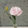 Arena III Baby Pink - Lisianthus Seed