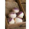 Helenor - Organic Rutabaga Seed