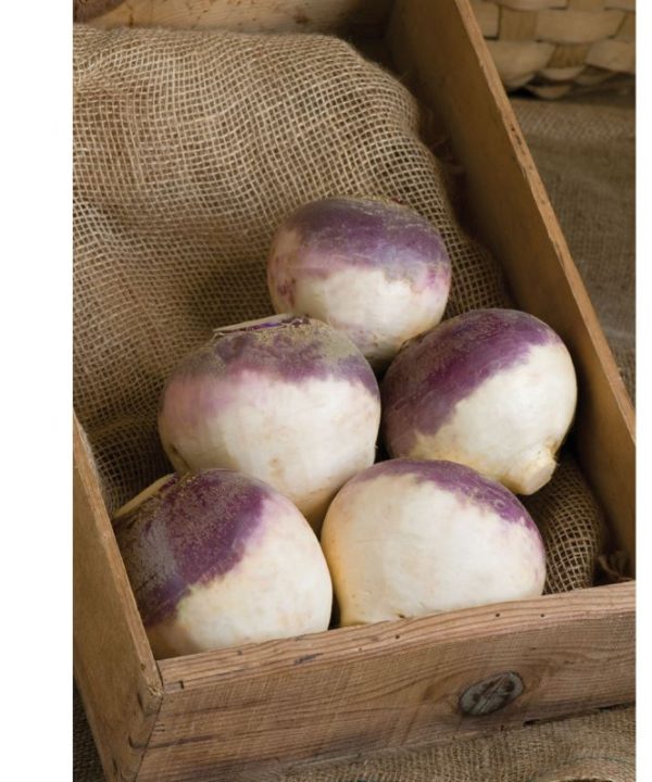 Helenor - Organic Rutabaga Seed
