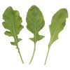 Astro - Arugula Seed