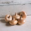 Gold Coin - Onion Seed