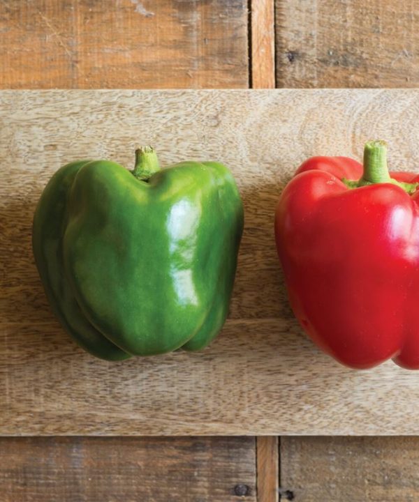 King Arthur - (F1) Bell Pepper Seed