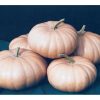 Long Island Cheese - Pumpkin Seed