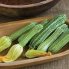 Costata Romanesco - Zucchini Squash Seed