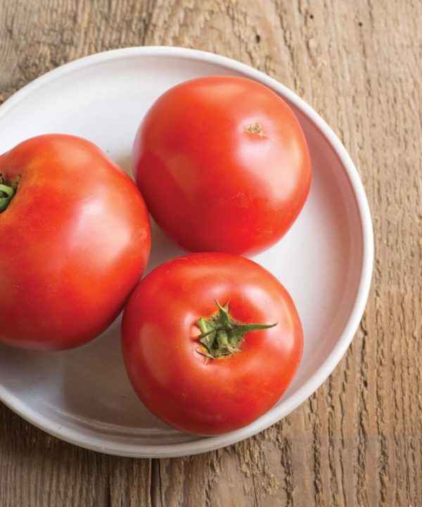 Big Beef - (F1) Tomato Seed
