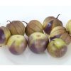 De Milpa - Organic Tomatillo Seed