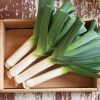 Tadorna - Leek Seed