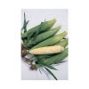 Trinity - (F1) Corn Seed