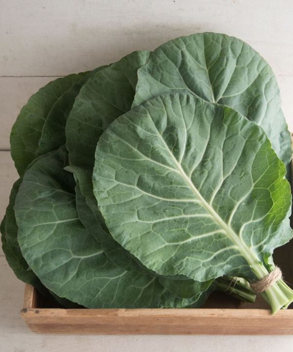 Flash - (F1) Collard Seed
