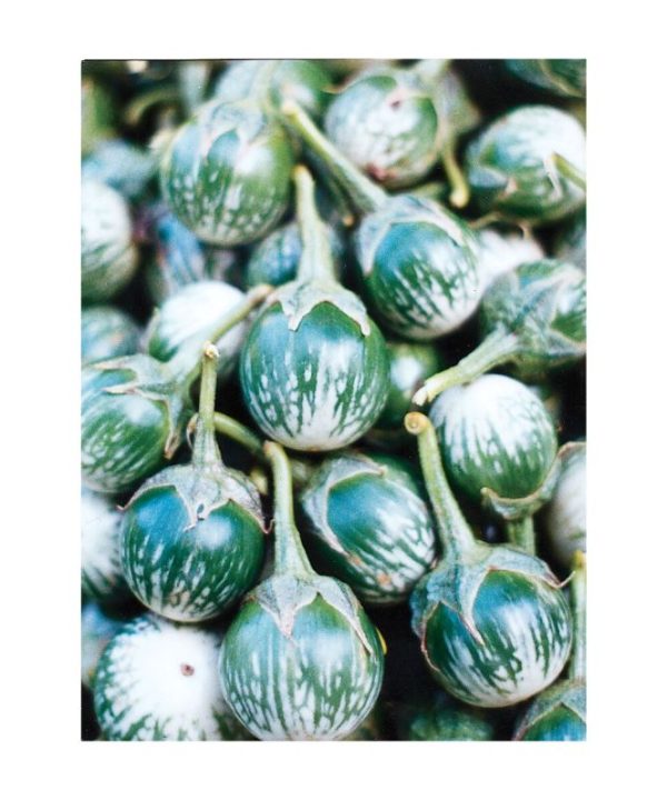 Kermit - (F1) Eggplant Seed