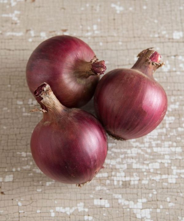 Redwing - Organic (F1) Onion Seed