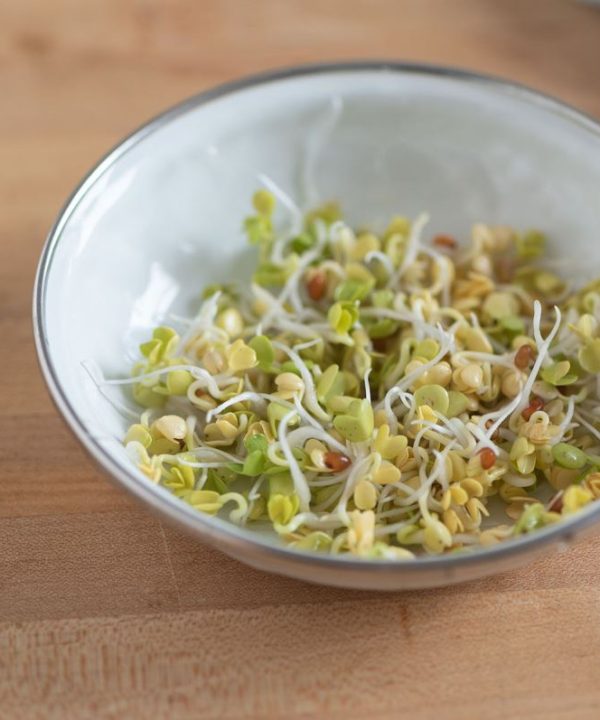 Radish, Daikon - Organic Sprouting Seeds
