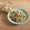 Bean, Mung - Organic Sprouting Seeds