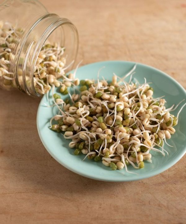Bean, Mung - Organic Sprouting Seeds