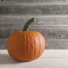 Racer - Treated (F1) Pumpkin Seed