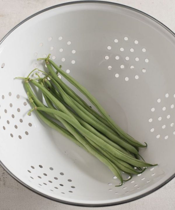 Maxibel - Bean Seed