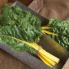 Bright Yellow - Swiss Chard Seed