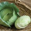 Tendersweet - (F1) Cabbage Seed