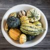 Harrowsmith Select - Organic Gourd Seed