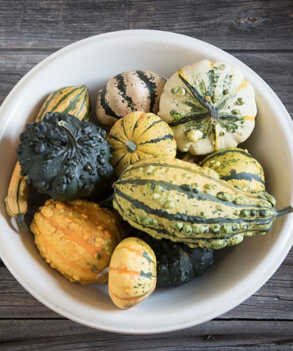 Harrowsmith Select - Organic Gourd Seed