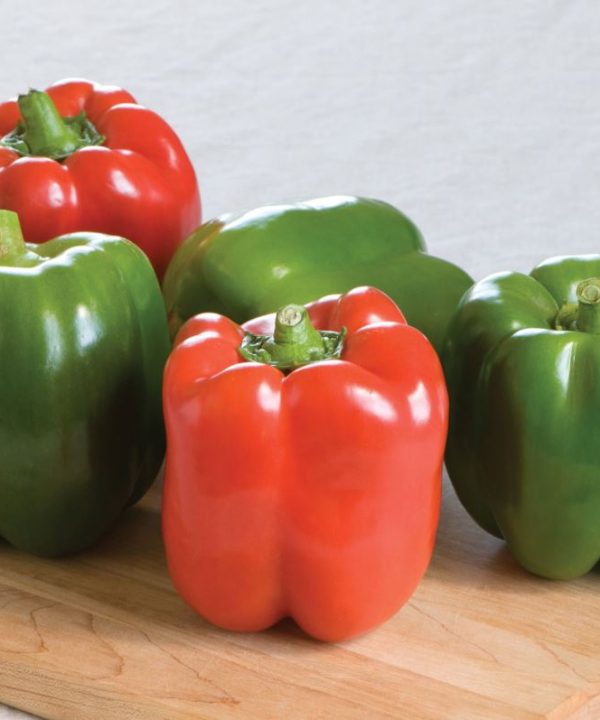 Olympus - (F1) Bell Pepper Seed
