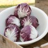 Indigo - (F1) Radicchio Seed