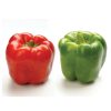 Procraft - (F1) Bell Pepper Seed