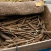 Chiko - Burdock Seed