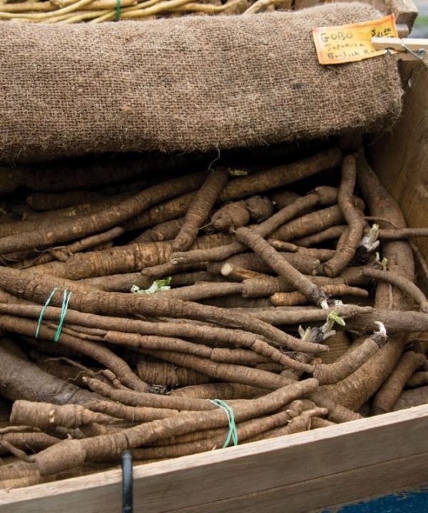 Chiko - Burdock Seed