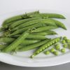 Penelope - Pea Seed