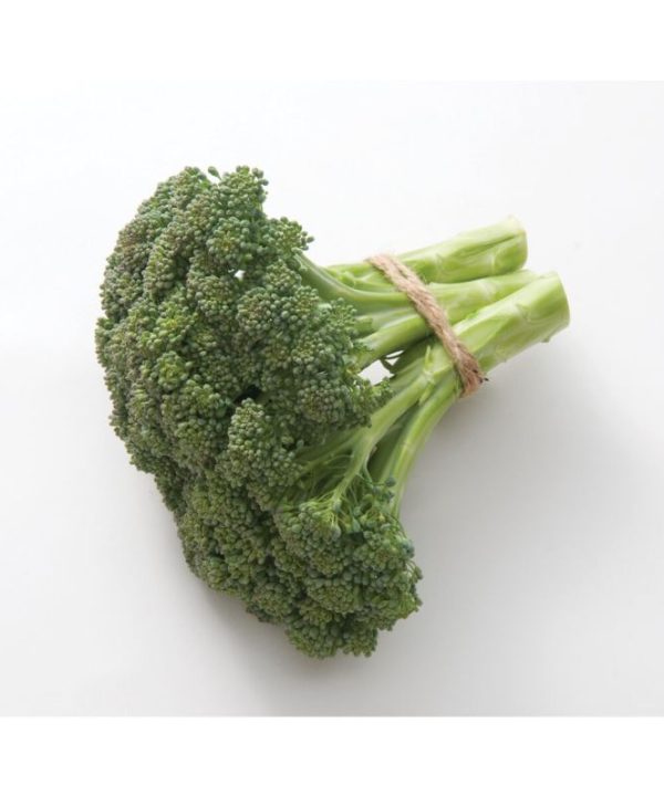 Atlantis - Sprouting Broccoli Seeds