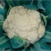 Snow Crown - (F1) Cauliflower Seed