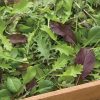 Stir-Fry Mix - Green Seed