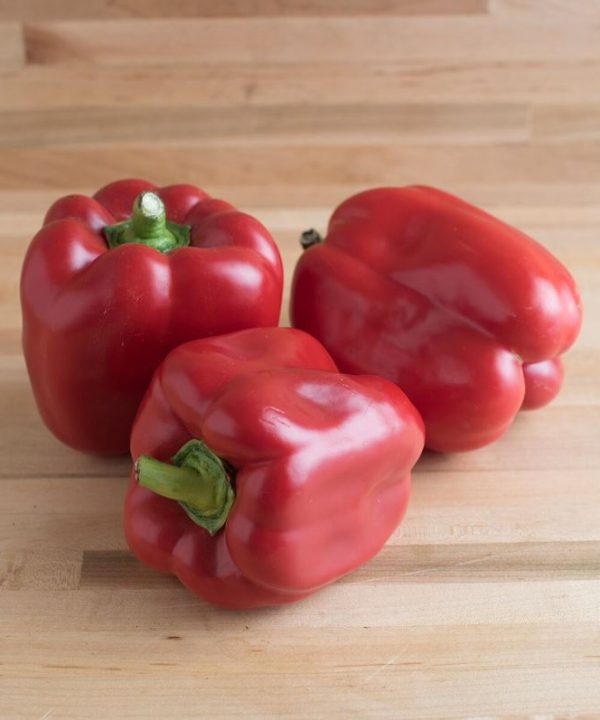 X3R? Red Knight - (F1) Bell Pepper Seed