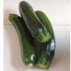 Raven - (F1) Zucchini Squash Seed