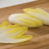 Totem - Organic (F1) Endive Seed