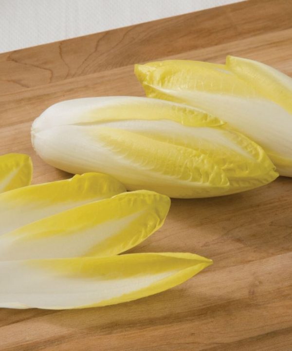 Totem - Organic (F1) Endive Seed