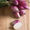 Red Long of Tropea - Organic Onion Seed