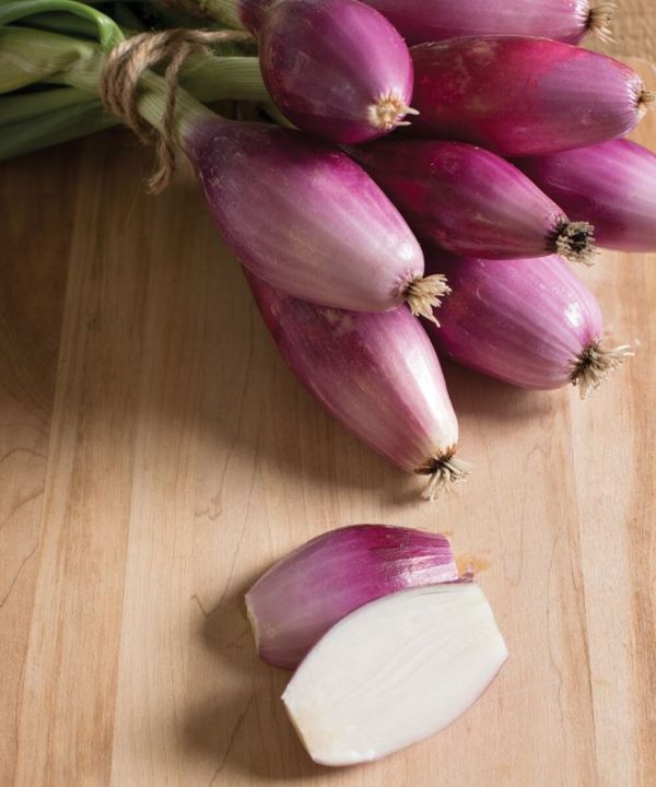 Red Long of Tropea - Organic Onion Seed