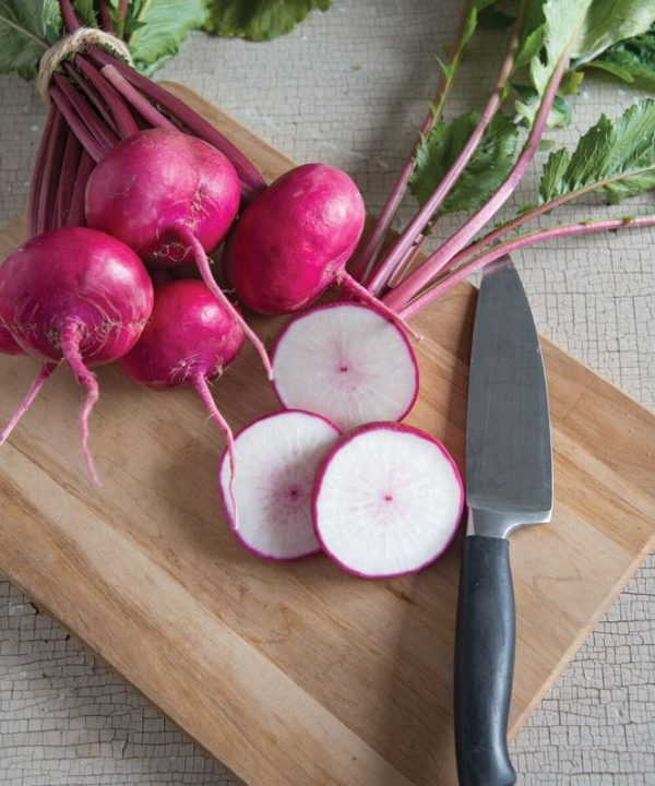 Scarlet Queen Red Stems - (F1) Turnip Seed