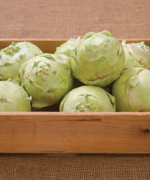 Kossak - Organic (F1) Kohlrabi Seed