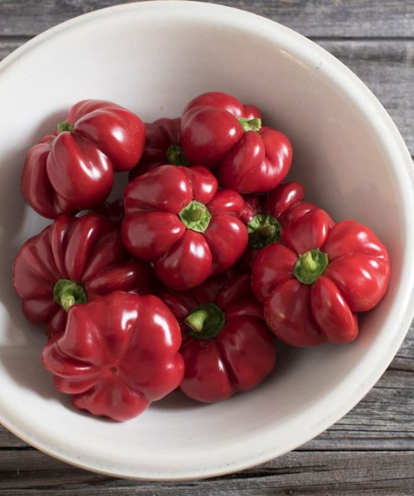 Round of Hungary - Pimento Pepper Seed