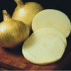 Yellow Granex - (F1) Onion Seeds