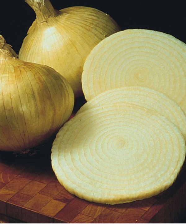 Yellow Granex - (F1) Onion Seeds