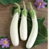 Gretel - (F1) Eggplant Seed